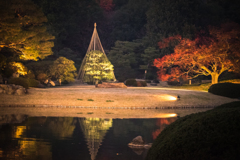 六義園その６