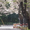 そこに降る