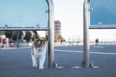 ここだよ