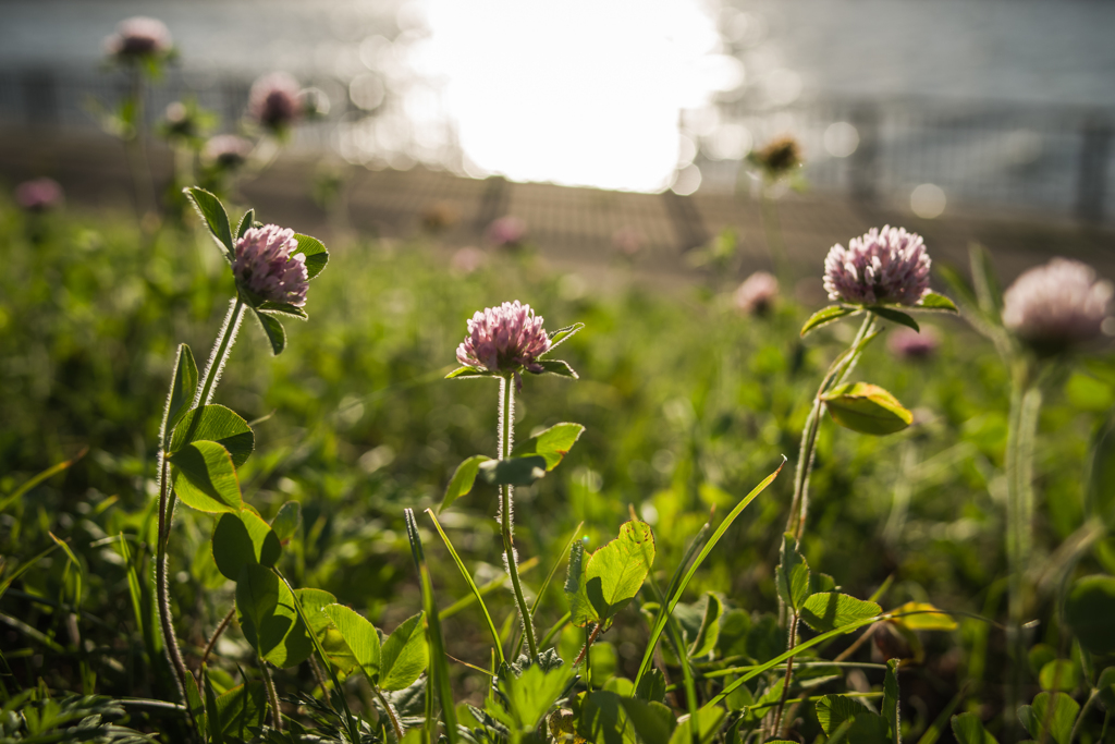 キラキラな時間