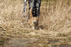 ついて来い♪