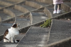 天敵現る