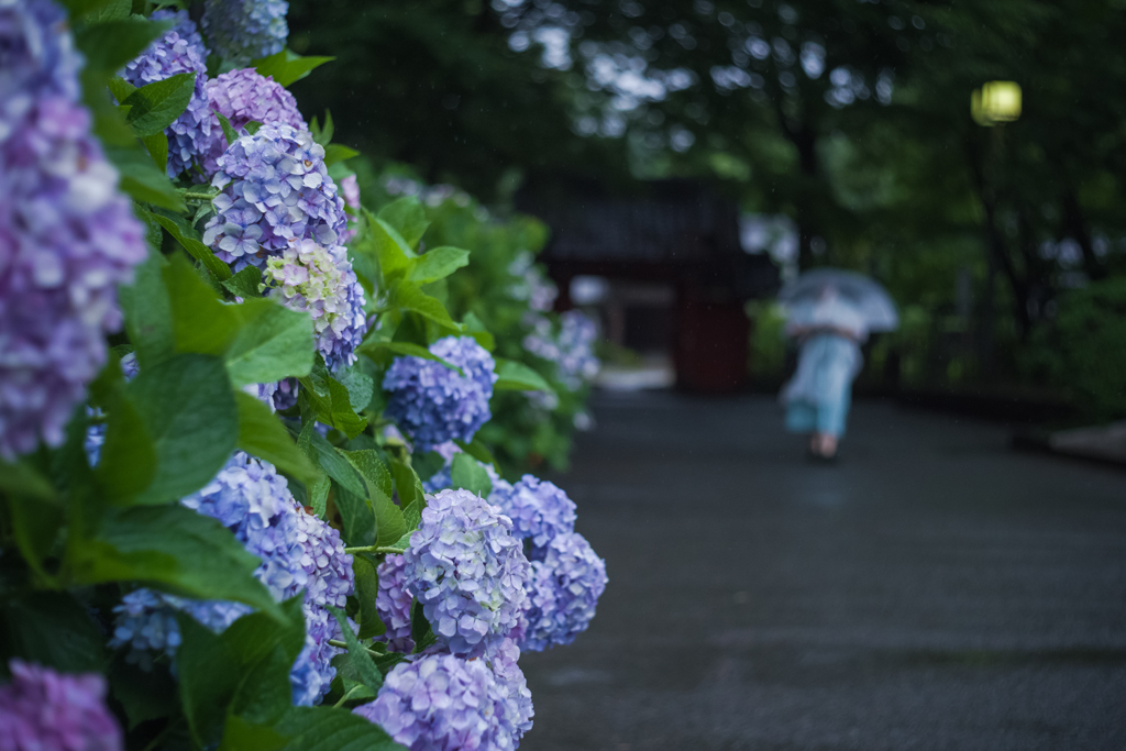 弘法寺
