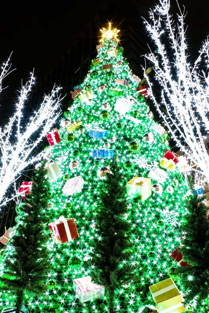 Christmas tree☆