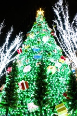 Christmas tree☆