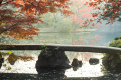 六義園その４