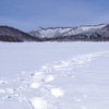 大沼