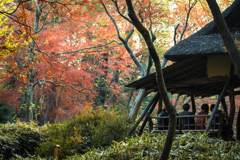 六義園その３