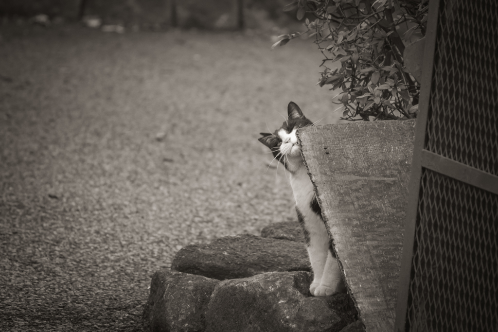 うぎぎ〜っ