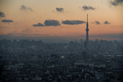 スカイツリーと富士山
