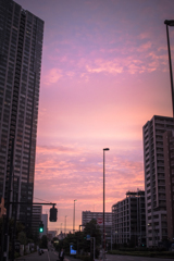 朝帰りの空