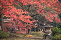 六義園その５