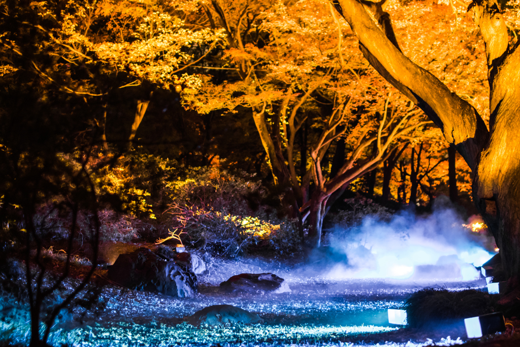 六義園その９