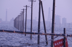 海に立つ電柱