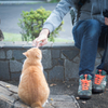 ちゃーくん
