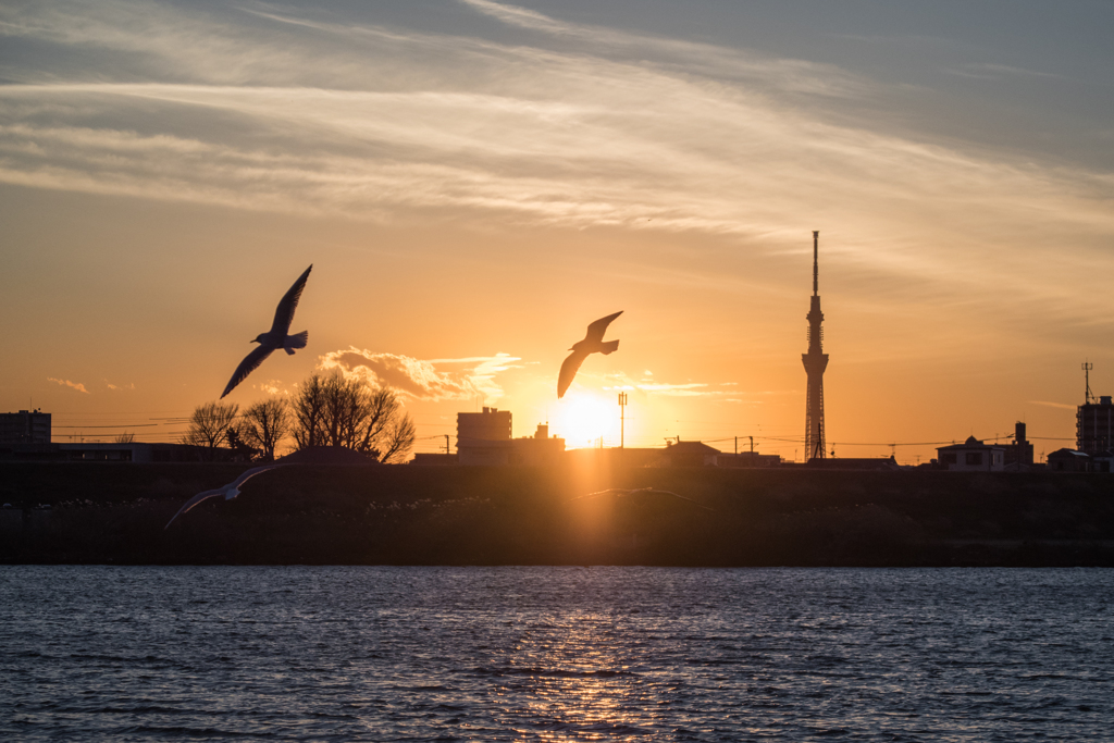 今日の夕空（12／28)