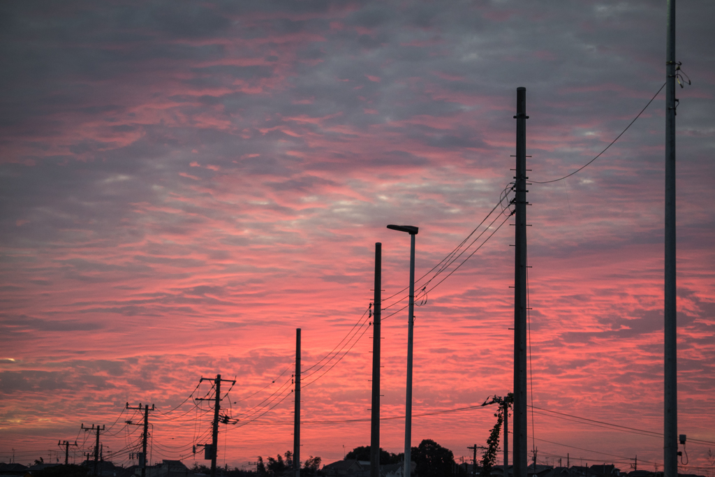 今朝の空