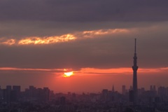 今日の夕陽