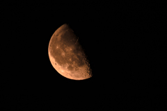 真夜中の月