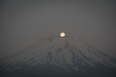 初パール富士