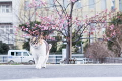 まだ早い