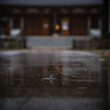 雨の雫