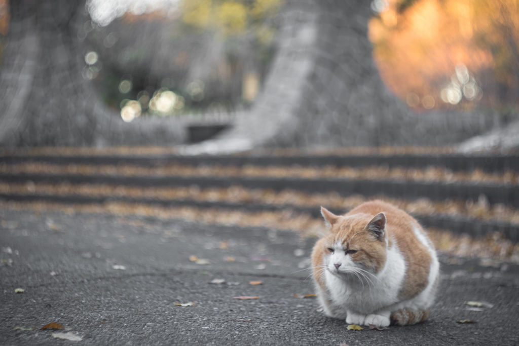寒いね