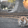 寒いね