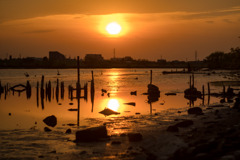 引き潮の川に映る夕陽