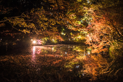 六義園その１２