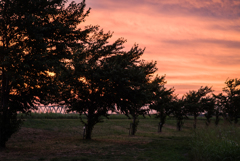 嵐の前の夕空