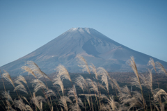 秋の富士山