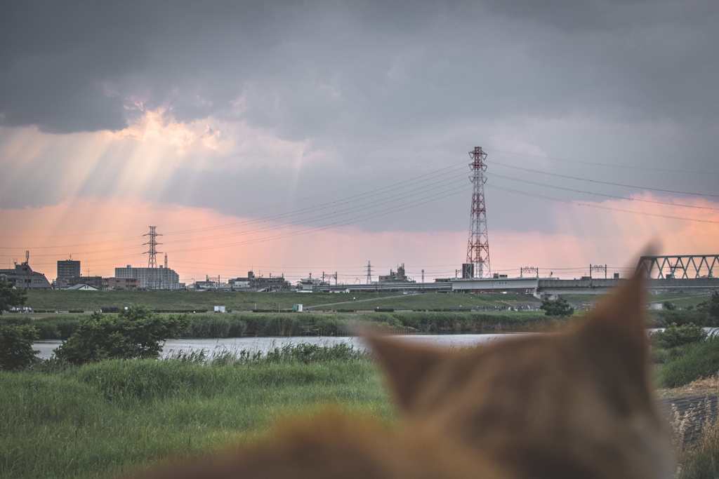 昨日の空