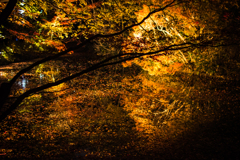 六義園その１３