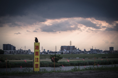 梅雨の空