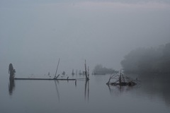 朝靄