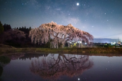 桜と天の川