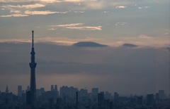 展望台から