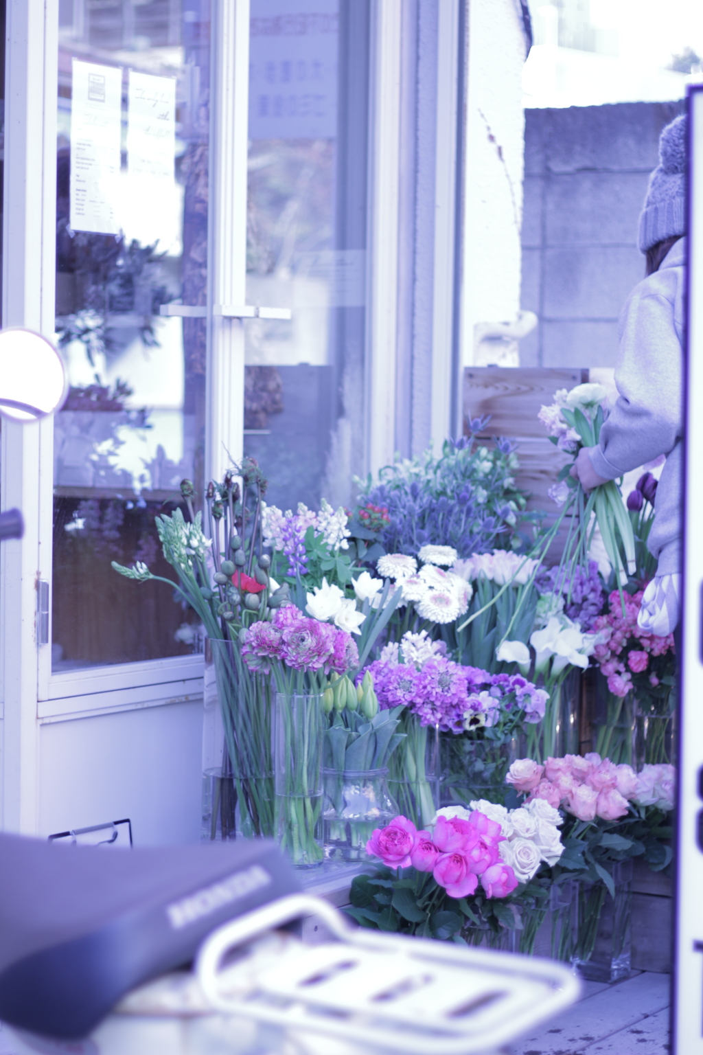 小春日和・鎌倉さんぽ その1