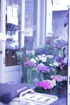 小春日和・鎌倉さんぽ その1