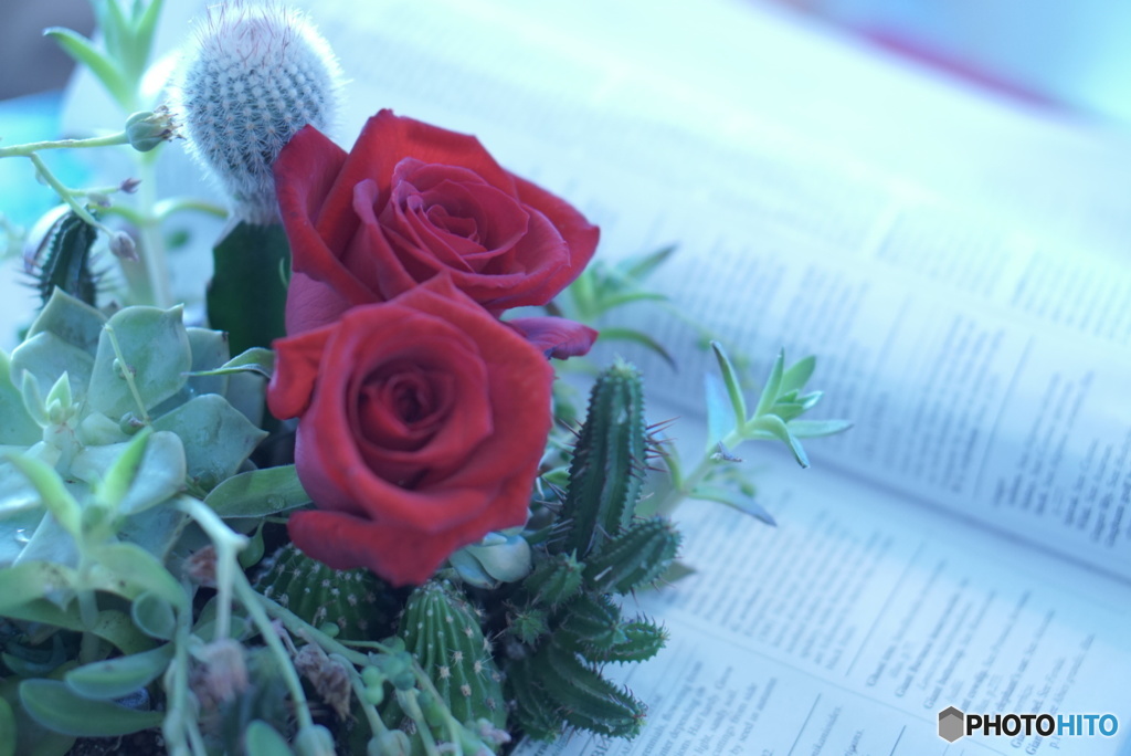 山手西洋館 花と器のハーモニー その1