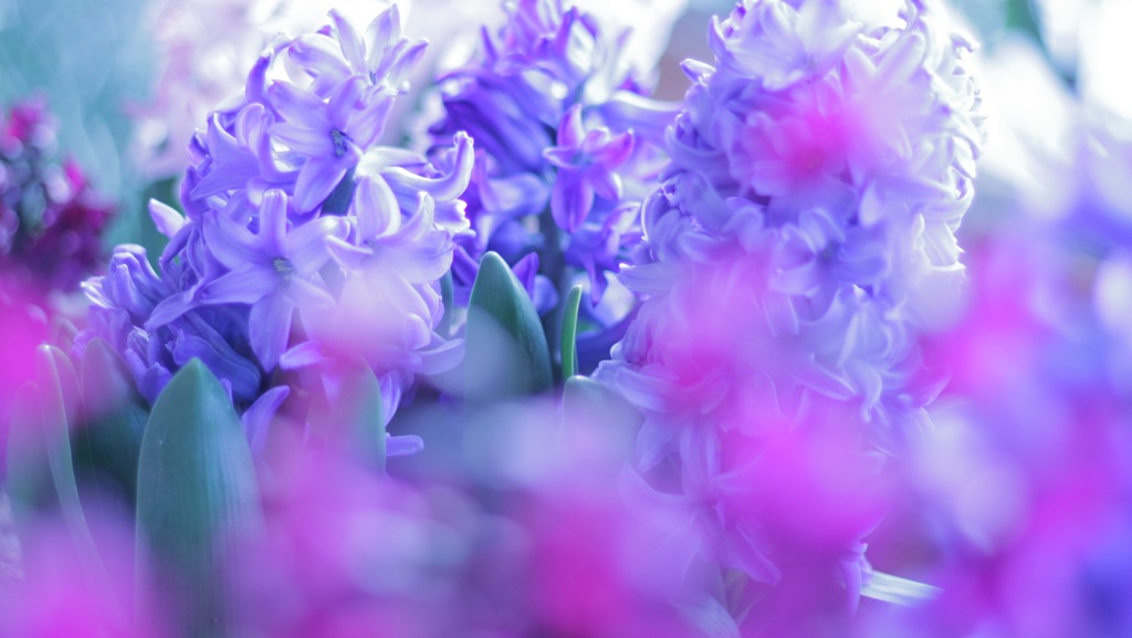 変わらぬ愛 その２