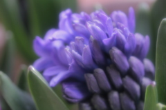 こころ、ほどけて・・・