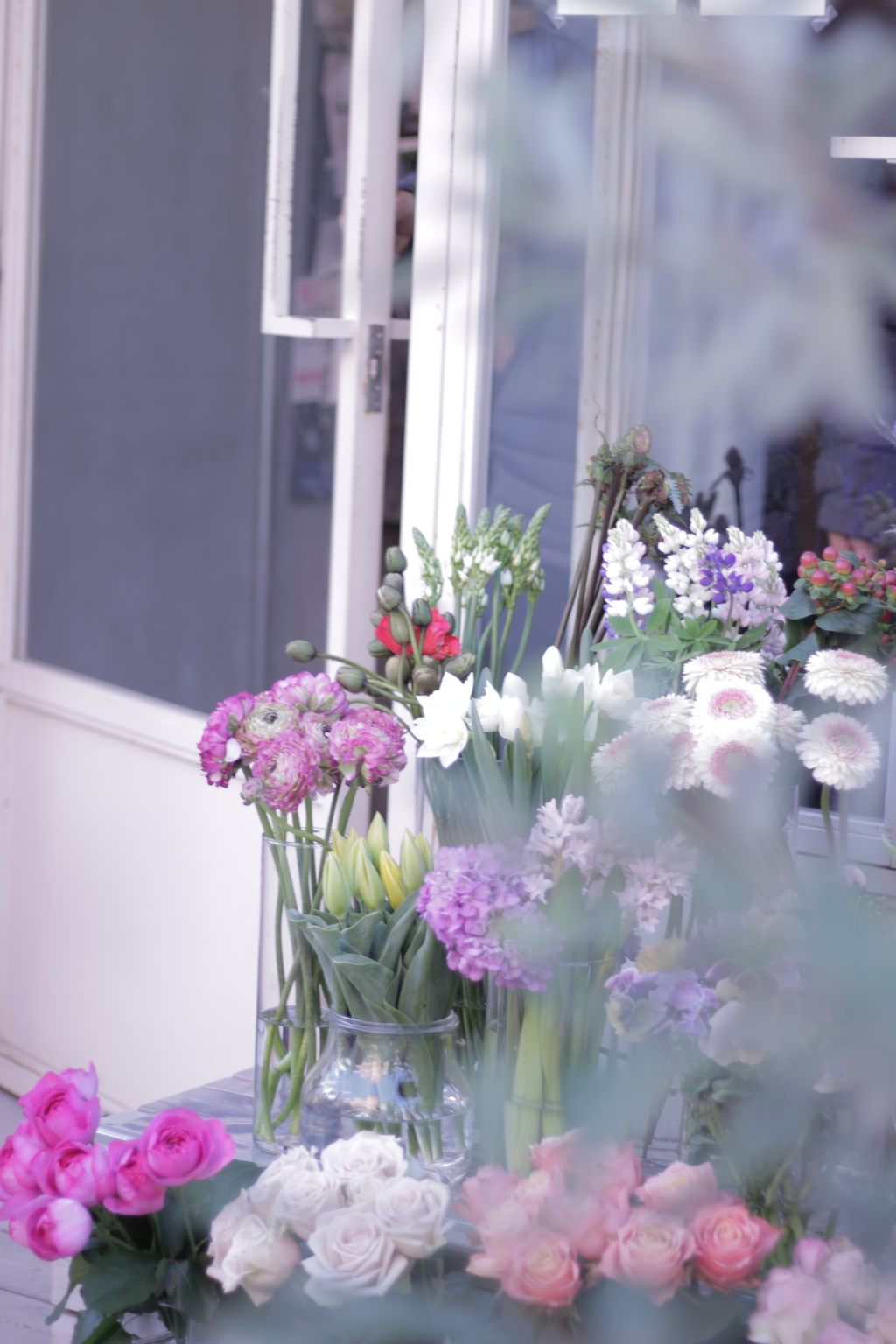 小春日和・鎌倉さんぽ その2