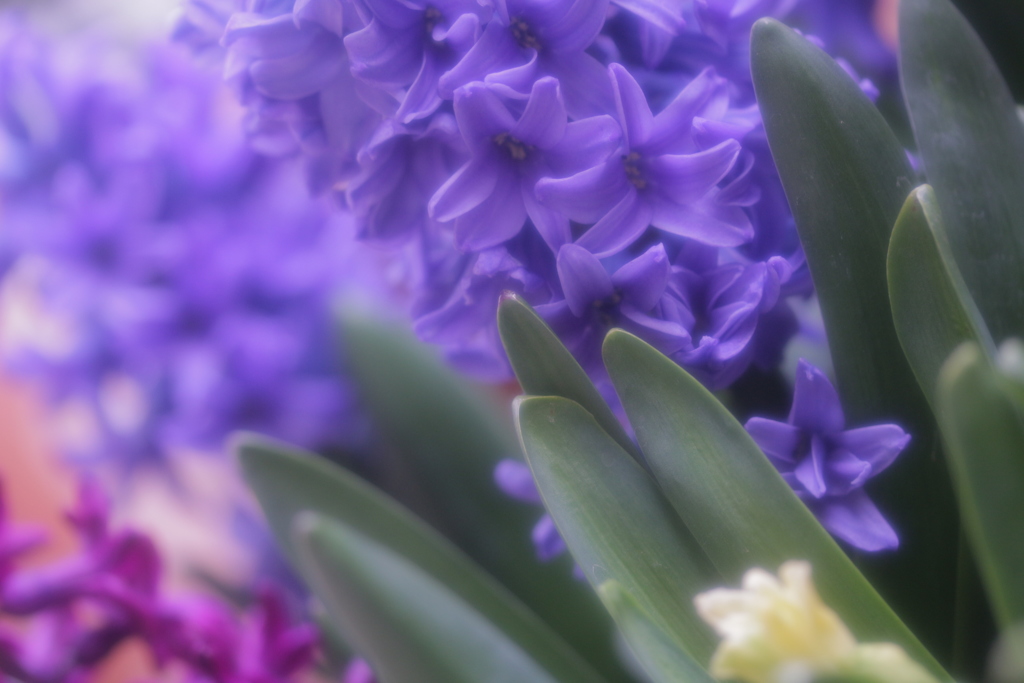 変わらぬ愛 その１