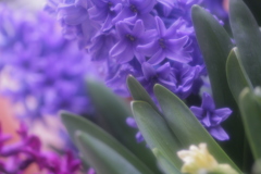 変わらぬ愛 その１