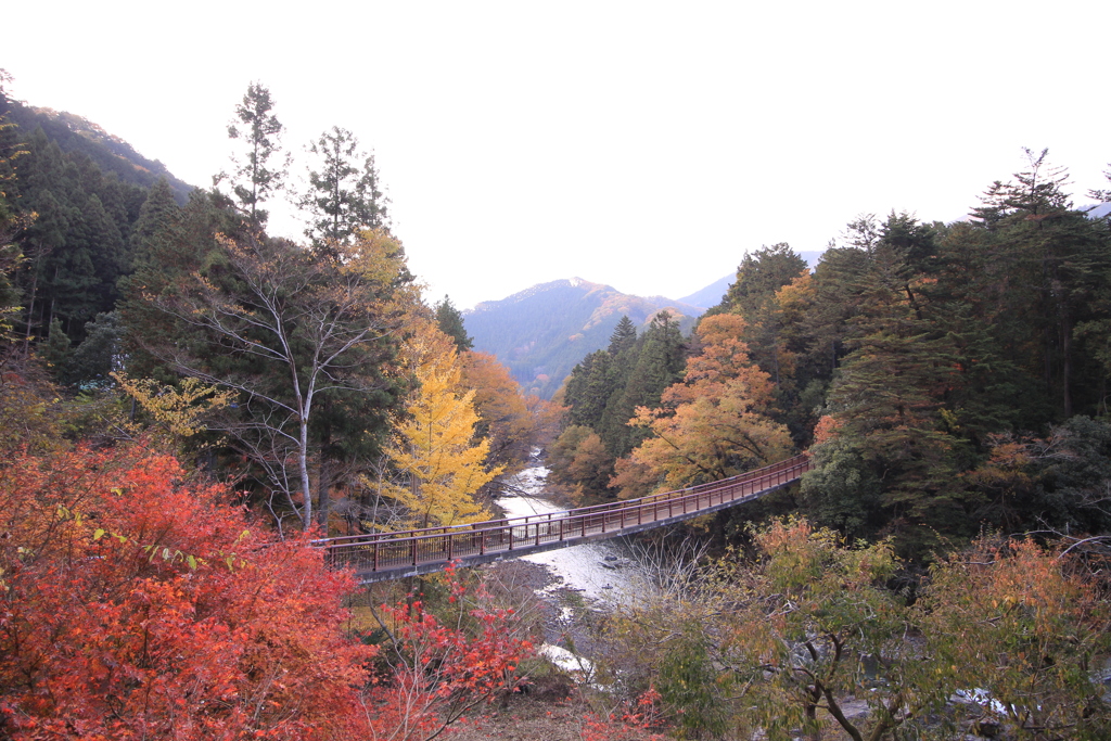 秋川渓谷 石舟橋