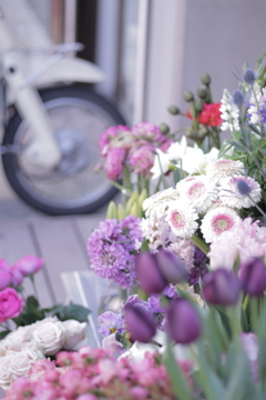 小春日和・鎌倉さんぽ その3