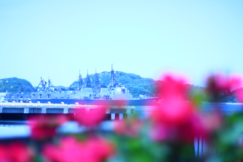 横須賀・ヴェルニー公園