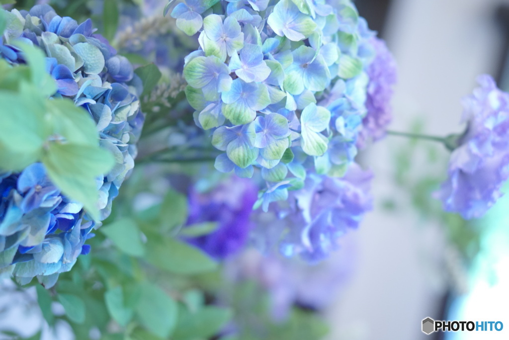 山手西洋館 花と器のハーモニー その3